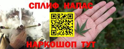 гашик Каменск-Шахтинский