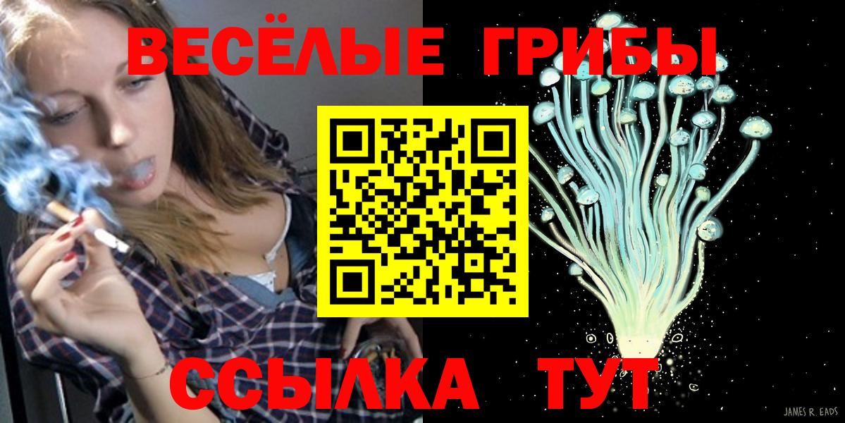 Псилоцибиновые грибы Magic Shrooms  Вход с VPN  Махачкала  Галлюциногенные грибы Psilocybine cubensis 